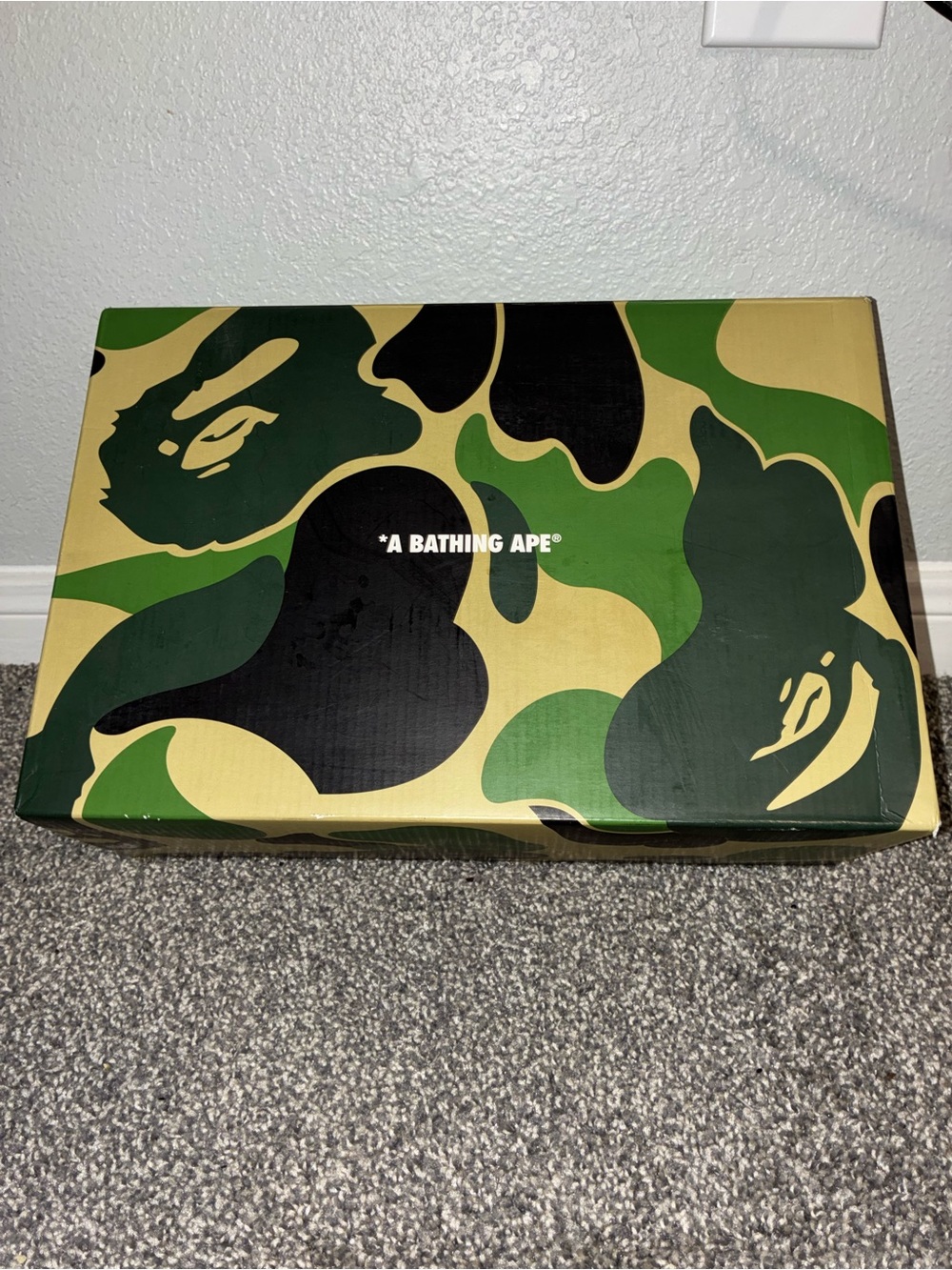 Bape Camo Sneaker Box — Green Black Tan